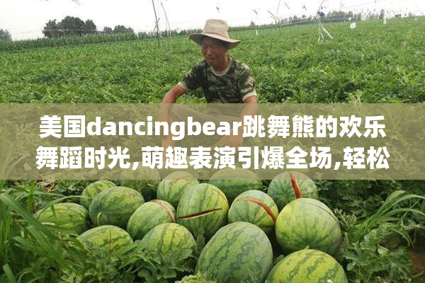美国dancingbear跳舞熊的欢乐舞蹈时光,萌趣表演引爆全场,轻松减压