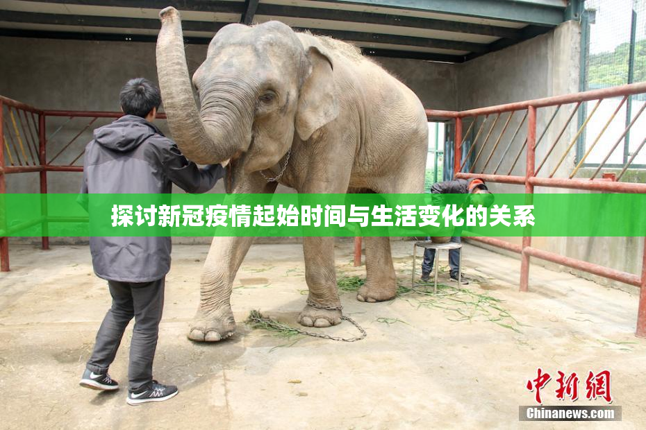 探讨新冠疫情起始时间与生活变化的关系