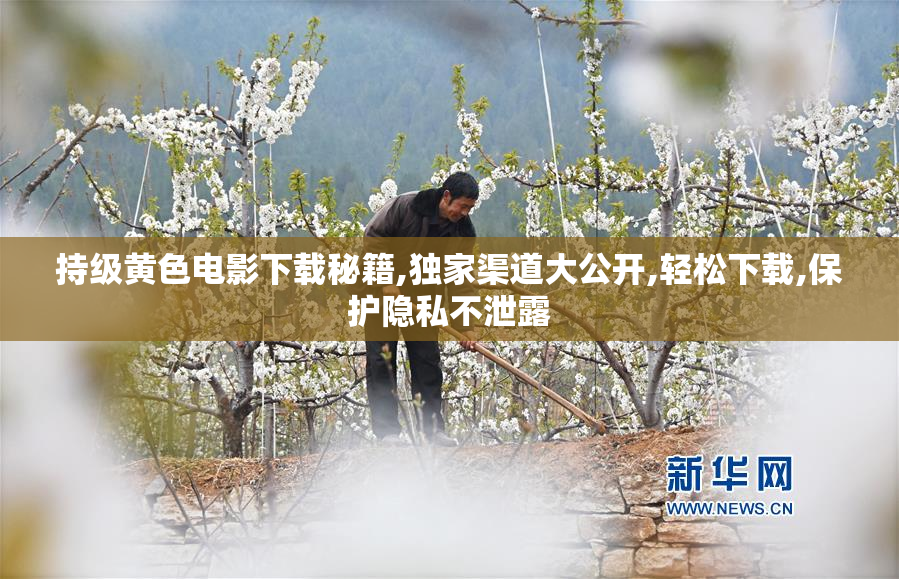 持级黄色电影下载秘籍,独家渠道大公开,轻松下载,保护隐私不泄露