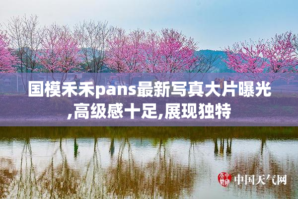 国模禾禾pans最新写真大片曝光,高级感十足,展现独特