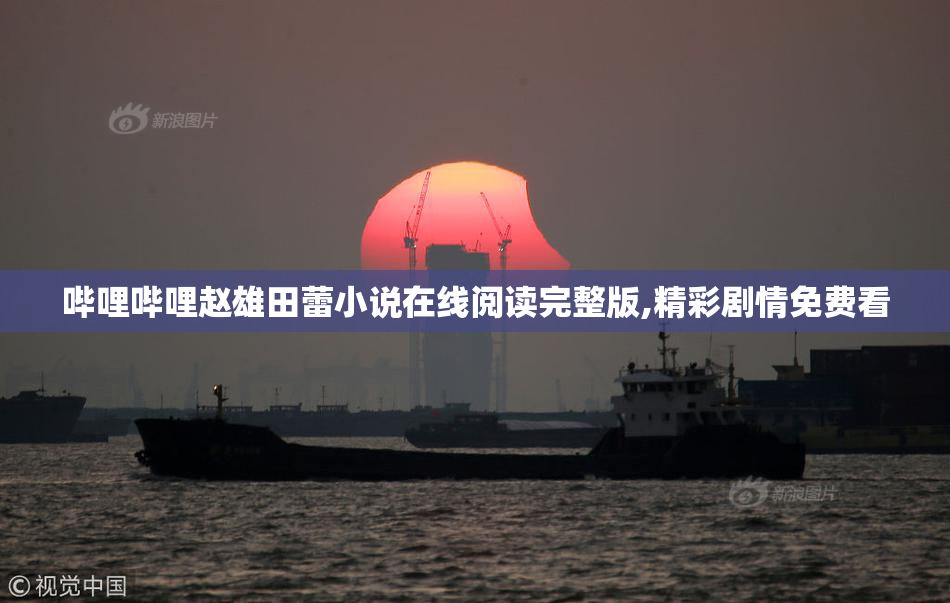 哔哩哔哩赵雄田蕾小说在线阅读完整版,精彩剧情免费看