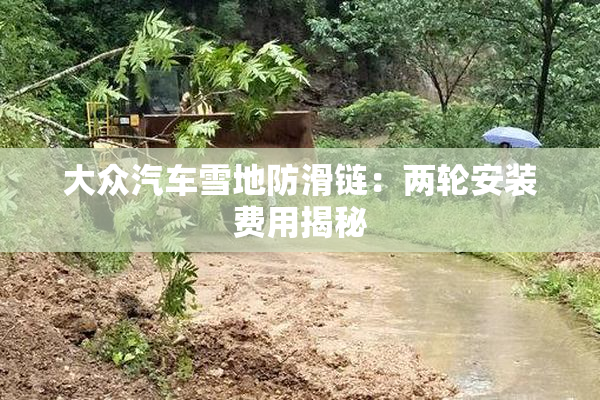 大众汽车雪地防滑链：两轮安装费用揭秘