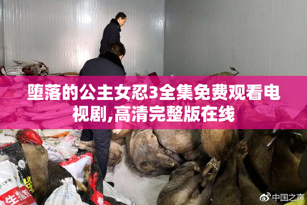 堕落的公主女忍3全集免费观看电视剧,高清完整版在线
