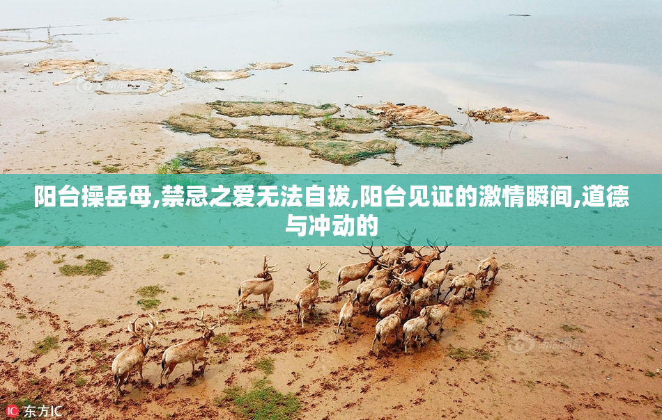 阳台操岳母,禁忌之爱无法自拔,阳台见证的激情瞬间,道德与冲动的