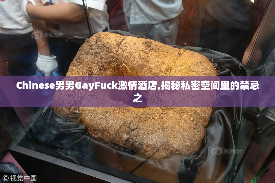 Chinese男男GayFuck激情酒店,揭秘私密空间里的禁忌之