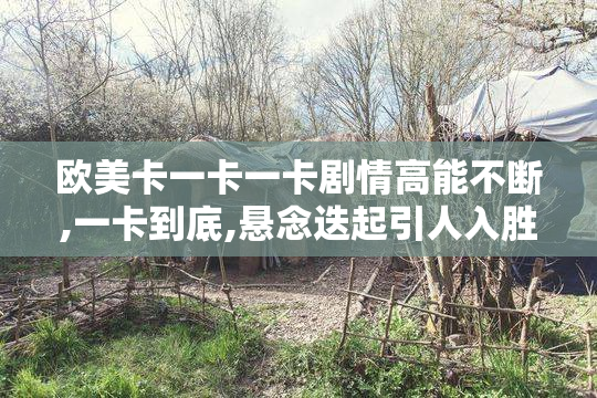欧美卡一卡一卡剧情高能不断,一卡到底,悬念迭起引人入胜