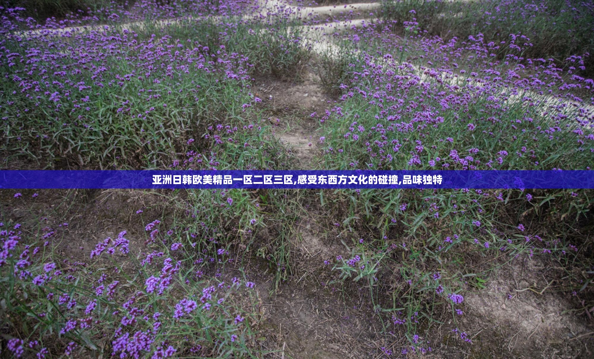 亚洲日韩欧美精品一区二区三区,感受东西方文化的碰撞,品味独特