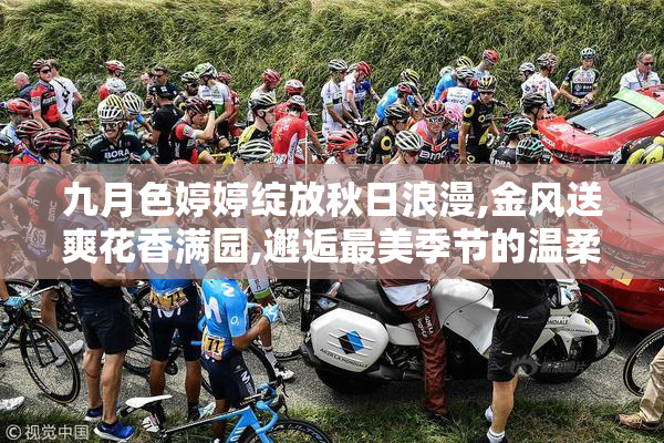 九月色婷婷绽放秋日浪漫,金风送爽花香满园,邂逅最美季节的温柔与