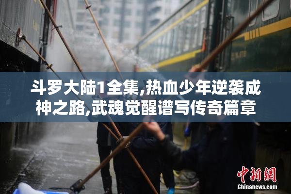 斗罗大陆1全集,热血少年逆袭成神之路,武魂觉醒谱写传奇篇章