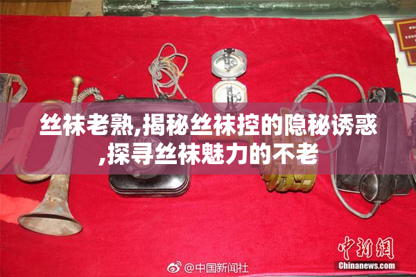 丝袜老熟,揭秘丝袜控的隐秘诱惑,探寻丝袜魅力的不老