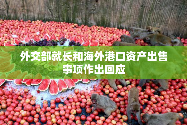 外交部就长和海外港口资产出售事项作出回应