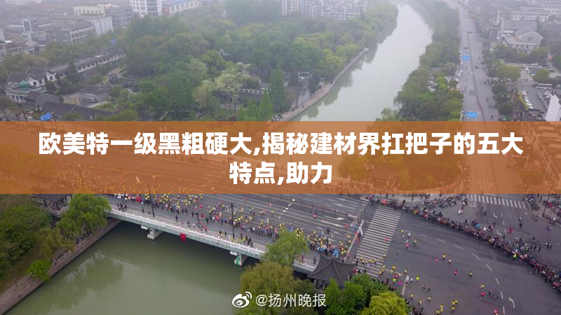 欧美特一级黑粗硬大,揭秘建材界扛把子的五大特点,助力