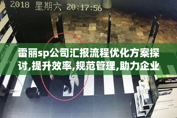 雷丽sp公司汇报流程优化方案探讨,提升效率,规范管理,助力企业高效