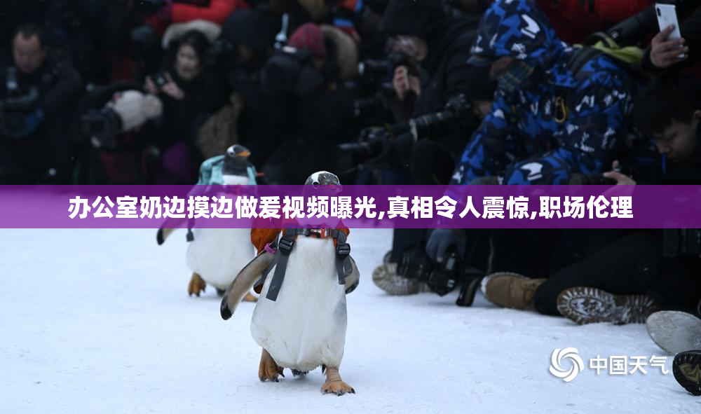 办公室奶边摸边做爰视频曝光,真相令人震惊,职场伦理