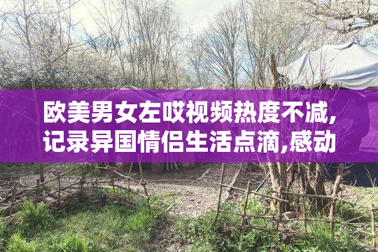 欧美男女左哎视频热度不减,记录异国情侣生活点滴,感动
