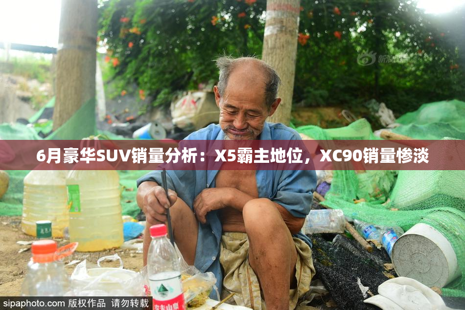 6月豪华SUV销量分析：X5霸主地位，XC90销量惨淡