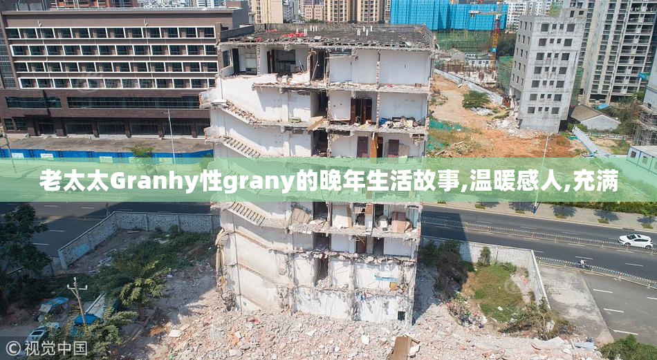 老太太Granhy性grany的晚年生活故事,温暖感人,充满