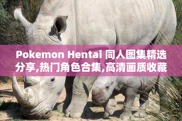 Pokemon Hentai 同人图集精选分享,热门角色合集,高清画质收藏必备