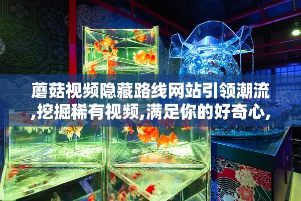蘑菇视频隐藏路线网站引领潮流,挖掘稀有视频,满足你的好奇心,开启