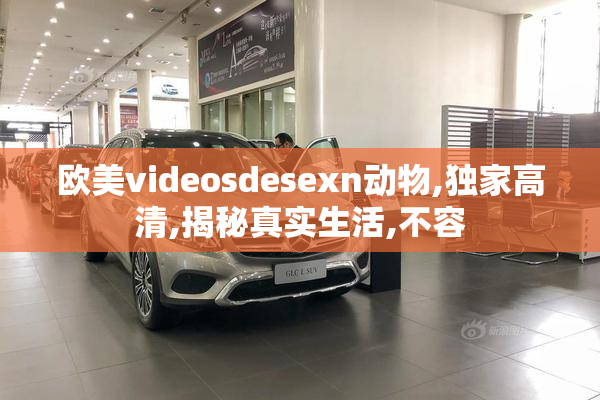 欧美videosdesexn动物,独家高清,揭秘真实生活,不容