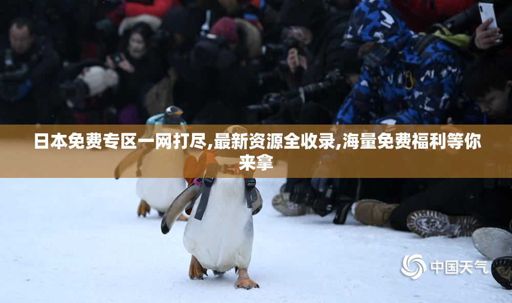 日本免费专区一网打尽,最新资源全收录,海量免费福利等你来拿