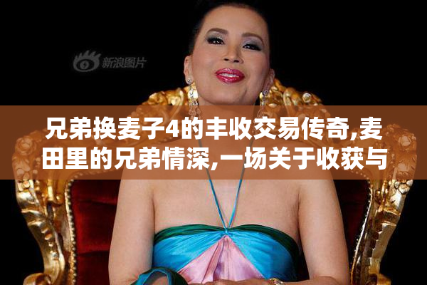 兄弟换麦子4的丰收交易传奇,麦田里的兄弟情深,一场关于收获与亲情