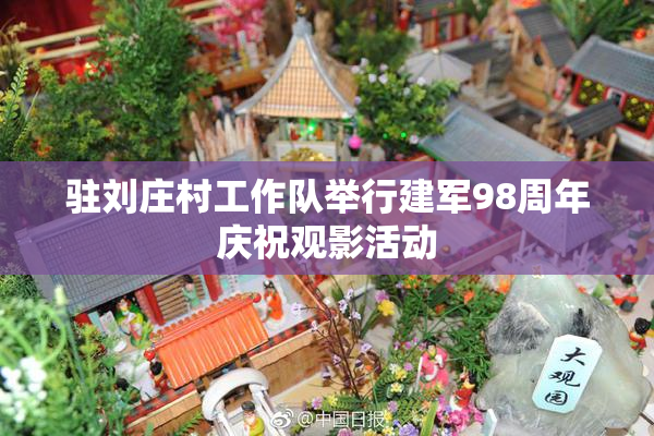驻刘庄村工作队举行建军98周年庆祝观影活动