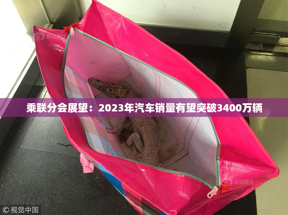 乘联分会展望：2023年汽车销量有望突破3400万辆