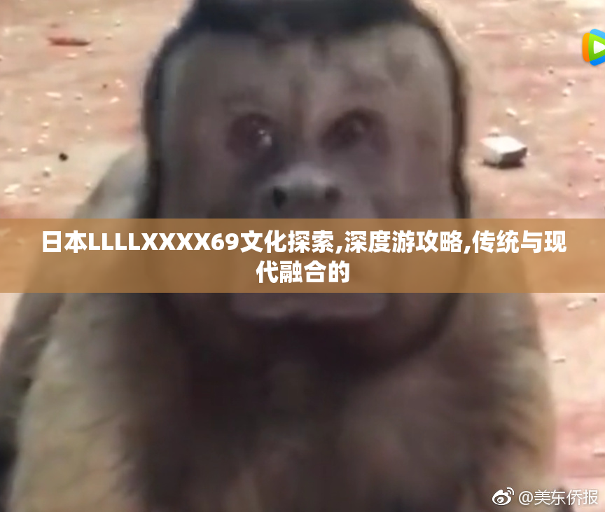 日本LLLLXXXX69文化探索,深度游攻略,传统与现代融合的