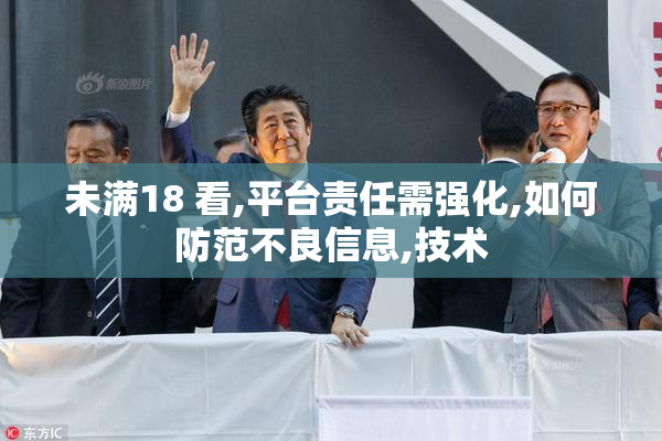 未满18 看,平台责任需强化,如何防范不良信息,技术