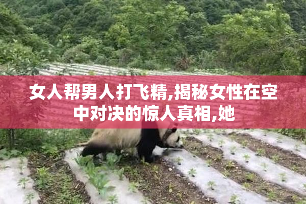 女人帮男人打飞精,揭秘女性在空中对决的惊人真相,她