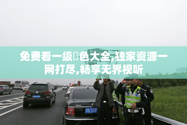 免费看一级黃色大全,独家资源一网打尽,畅享无界视听