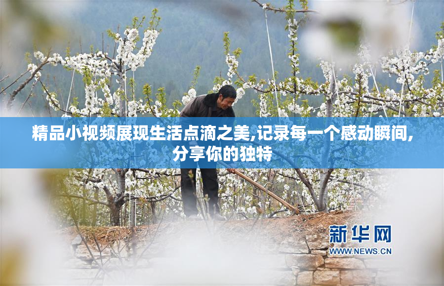 精品小视频展现生活点滴之美,记录每一个感动瞬间,分享你的独特