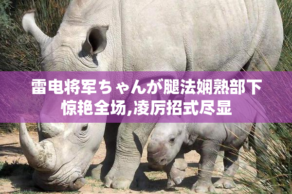 雷电将军ちゃんが腿法娴熟部下惊艳全场,凌厉招式尽显
