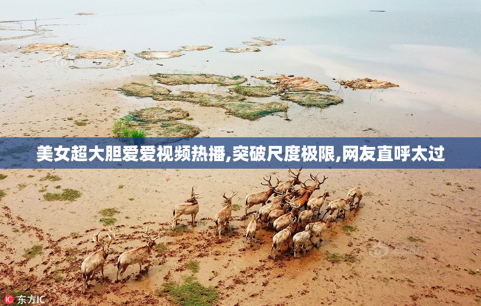 美女超大胆爱爱视频热播,突破尺度极限,网友直呼太过