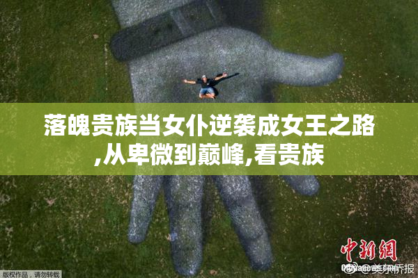 落魄贵族当女仆逆袭成女王之路,从卑微到巅峰,看贵族