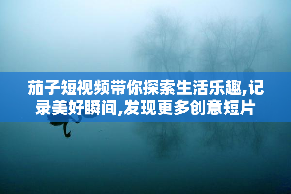 茄子短视频带你探索生活乐趣,记录美好瞬间,发现更多创意短片
