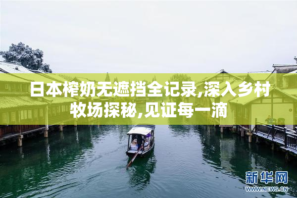 日本榨奶无遮挡全记录,深入乡村牧场探秘,见证每一滴