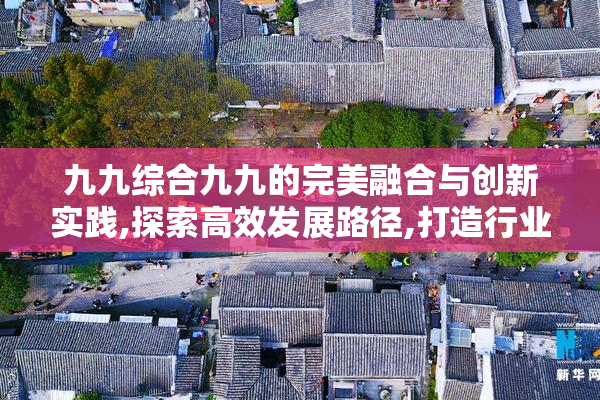 九九综合九九的完美融合与创新实践,探索高效发展路径,打造行业标杆