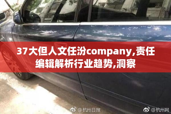 37大但人文任汾company,责任编辑解析行业趋势,洞察