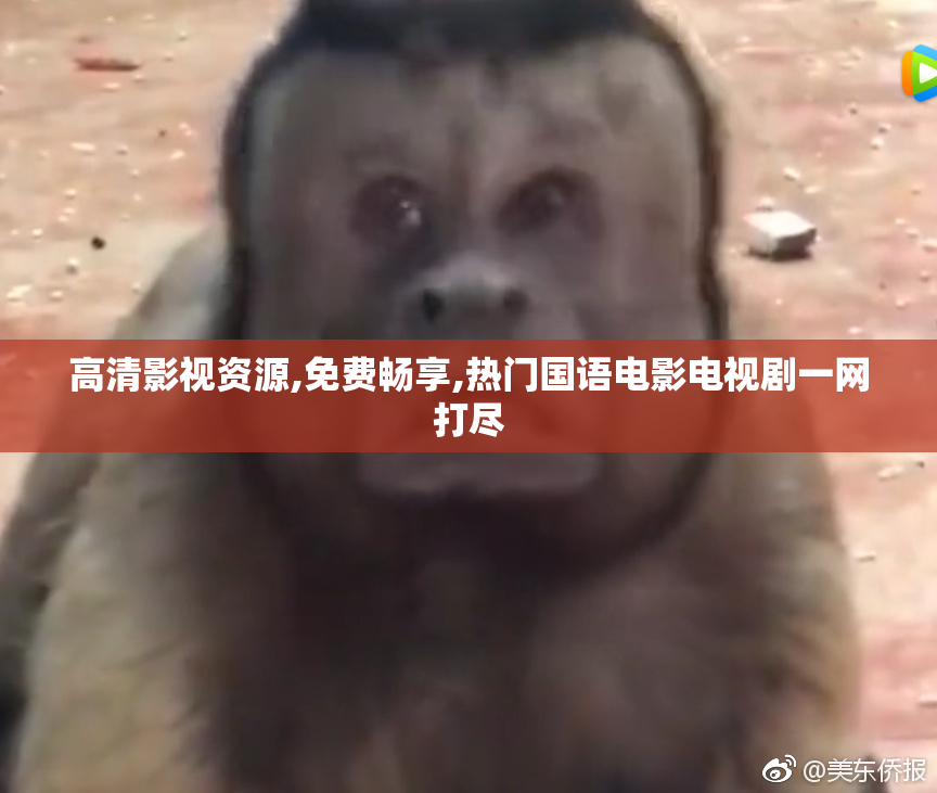 高清影视资源,免费畅享,热门国语电影电视剧一网打尽