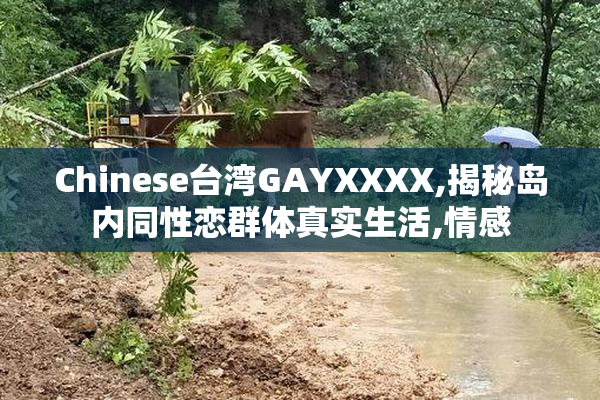 Chinese台湾GAYXXXX,揭秘岛内同性恋群体真实生活,情感