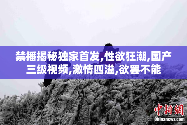 禁播揭秘独家首发,性欲狂潮,国产三级视频,激情四溢,欲罢不能