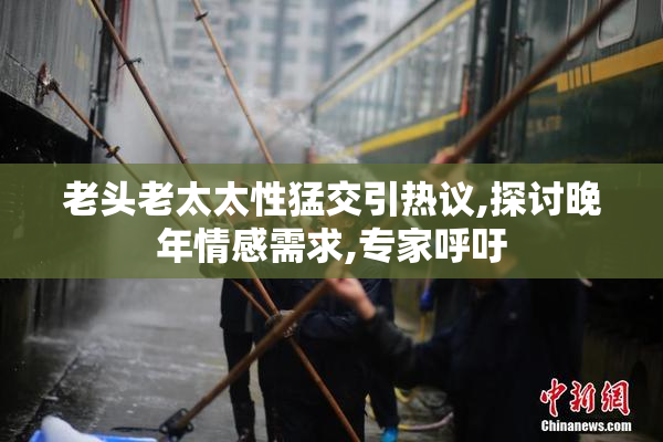 老头老太太性猛交引热议,探讨晚年情感需求,专家呼吁