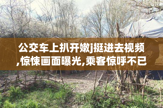 公交车上扒开嫩j挺进去视频,惊悚画面曝光,乘客惊呼不已公交司机