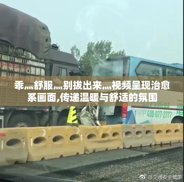 乖灬舒服灬别拔出来灬视频呈现治愈系画面,传递温暖与舒适的氛围