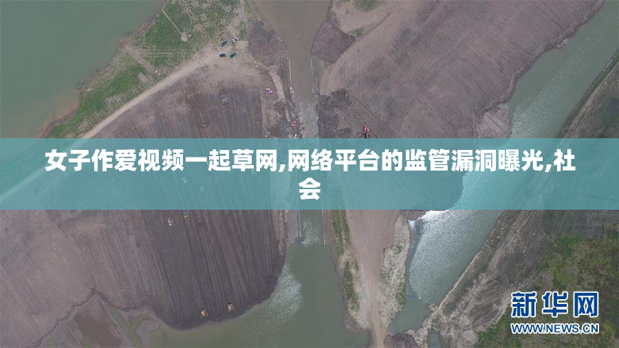 女子作爱视频一起草网,网络平台的监管漏洞曝光,社会