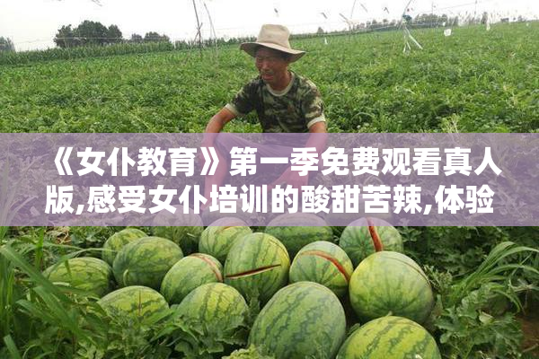 《女仆教育》第一季免费观看真人版,感受女仆培训的酸甜苦辣,体验