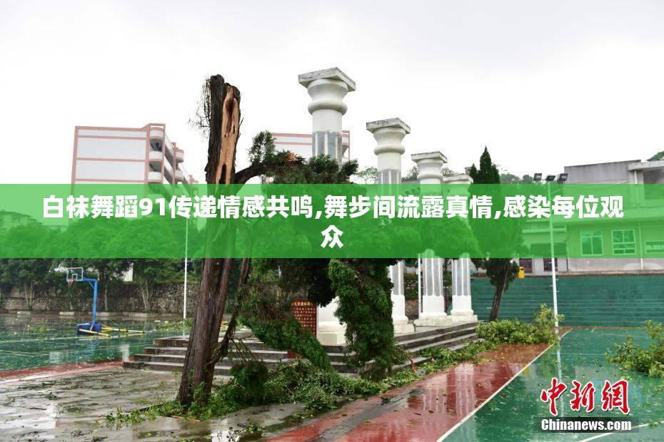 白袜舞蹈91传递情感共鸣,舞步间流露真情,感染每位观众