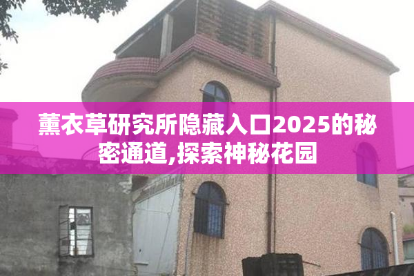 薰衣草研究所隐藏入口2025的秘密通道,探索神秘花园